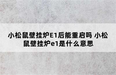 小松鼠壁挂炉E1后能重启吗 小松鼠壁挂炉e1是什么意思